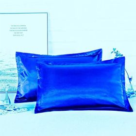 Pure color silk single pillow case (Option: Blue-A pair)